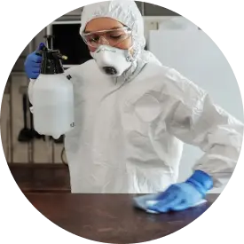 Fertőtlenítés, teljes körűen megfizethető takarítás árak mellett